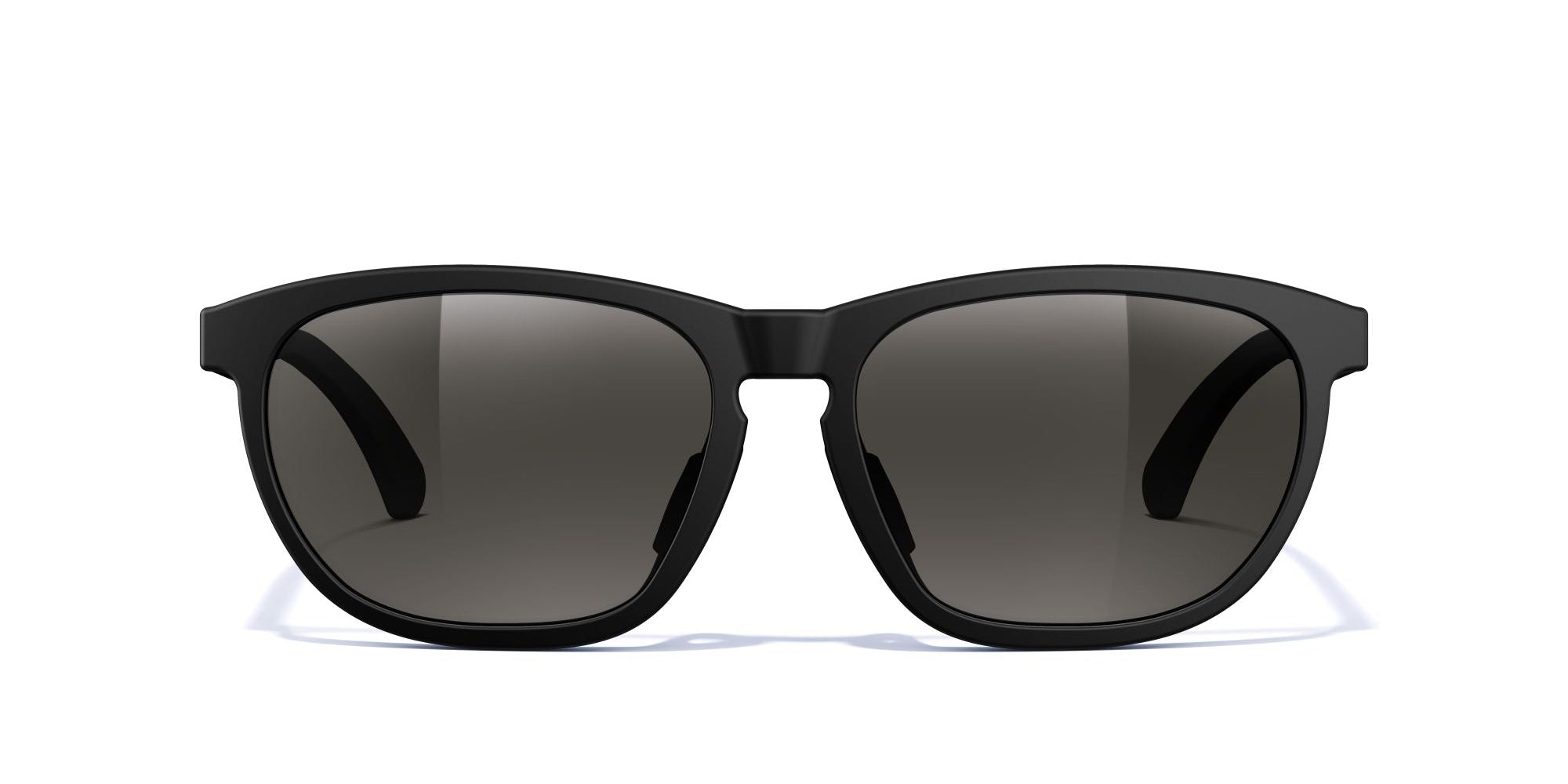 Matte Black-Polarized Smoke