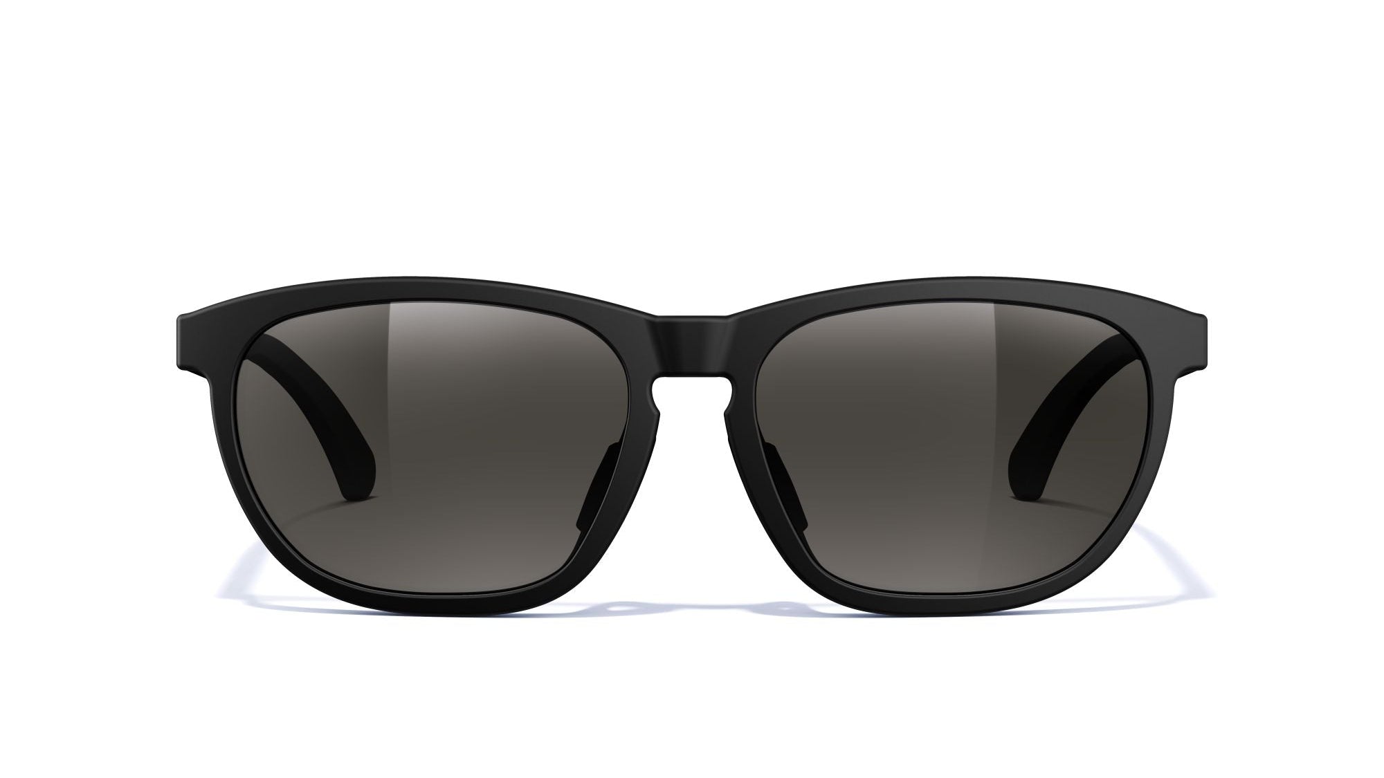 Matte Black-Polarized Smoke